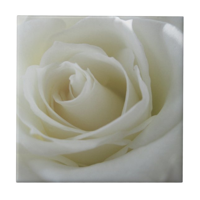 Azulejo Brillo floral (Frente)