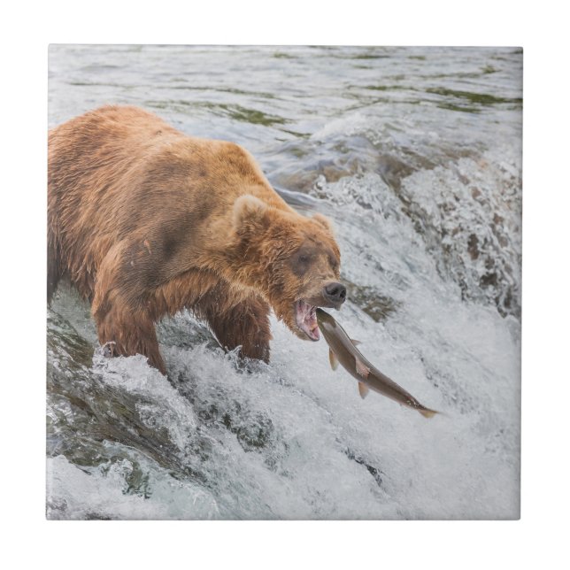 Azulejo Brown Bear Catches Red Salmon (Frente)