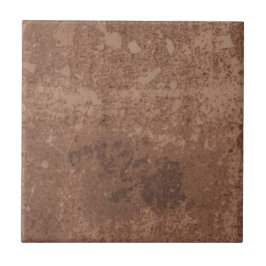 Azulejo Brownstone vintage rustic simple rustic print 