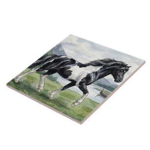 Azulejo Brunskjottur Pinto negro islandés