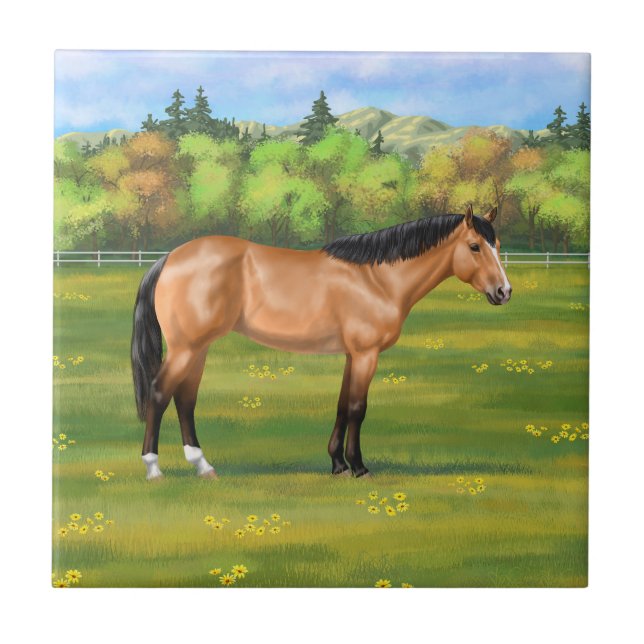 Azulejo Buckskin Dun Quarter Horse (Frente)