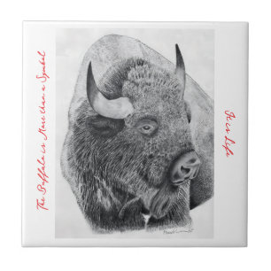 Azulejo Búfalo Americano