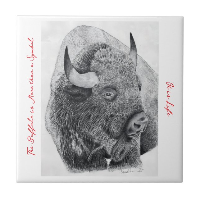 Azulejo Búfalo Americano (Frente)
