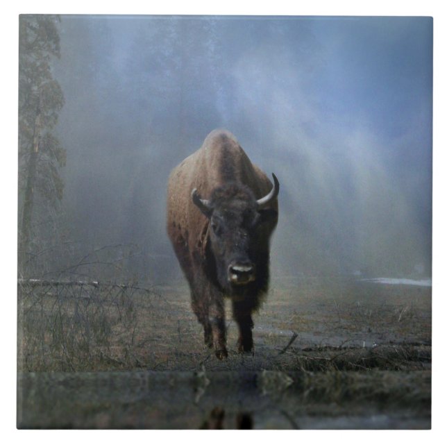 Azulejo Bufalo nativo americano en mosaico de arte húmedo (Frente)