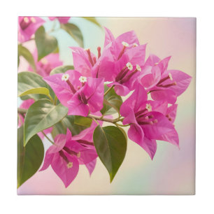 Azulejo Buganvilla Tropical Floral Rosa Vibrante