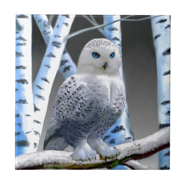 Azulejo Búho de nieve de ojos azules (Frente)