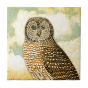 Azulejo Búho del vintage con las nubes