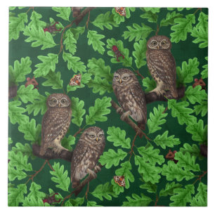 Azulejo Búhos en el bosque sobre verde oscuro