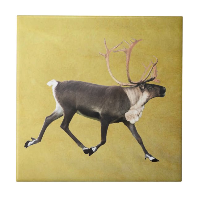 Azulejo Bull Caribou (Frente)