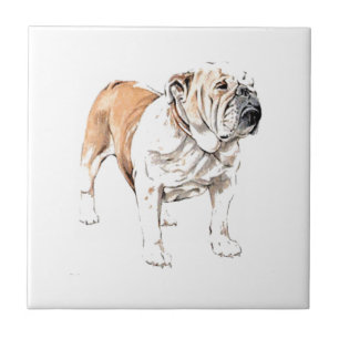Azulejo Bulldog