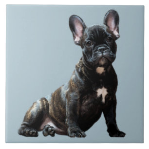 Azulejo BULLDOG 3, amor Mascota, mejor amigo KEEPSAKE