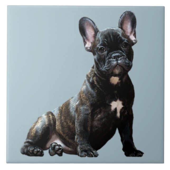 Azulejo BULLDOG 3, amor Mascota, mejor amigo KEEPSAKE (Frente)