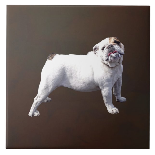 Azulejo Bulldog de pie (Frente)