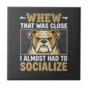 Azulejo Bulldog Divertido Socializar Perro