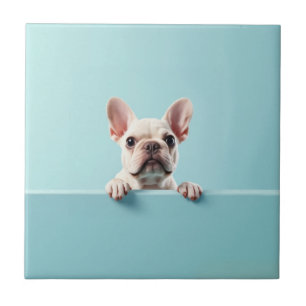Azulejo Bulldog francés