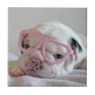 Azulejo Bulldog francés en vidrios del corazón