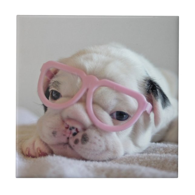 Azulejo Bulldog francés en vidrios del corazón (Frente)