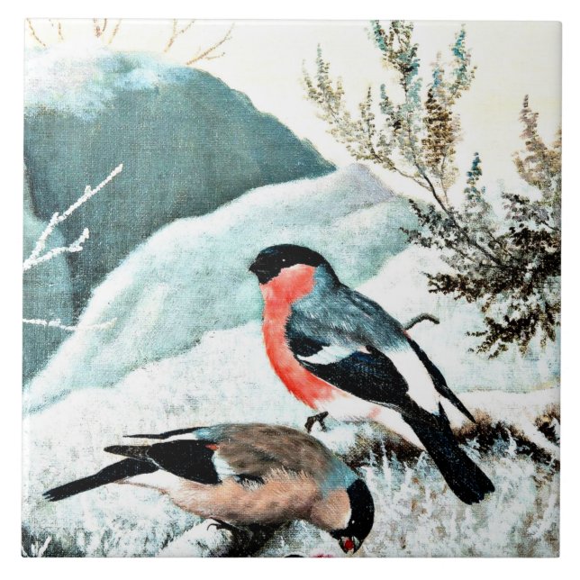 Azulejo Bullfinches en el paisaje invernal (Frente)