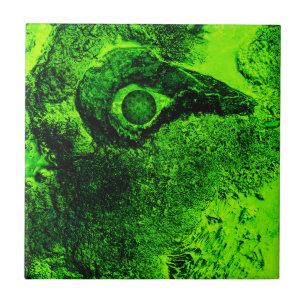 Azulejo buscando lo verde