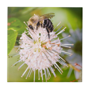 Azulejo Busy Bee
