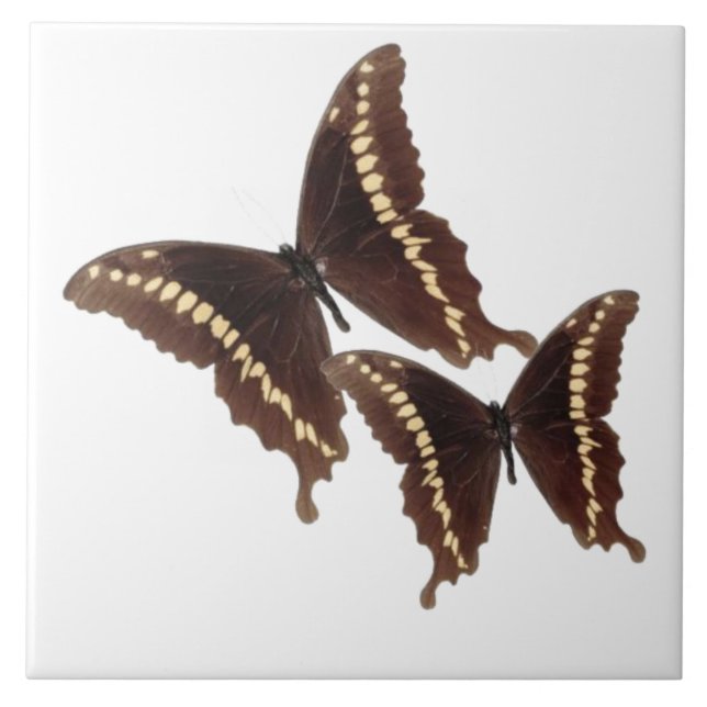 Azulejo Butterflies Tile (Frente)