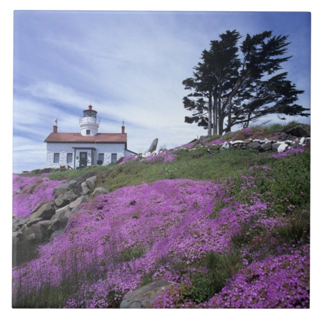 Azulejo CA, Crescent City, faro de Battery Point con (Frente)