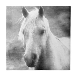 Azulejo Caballo