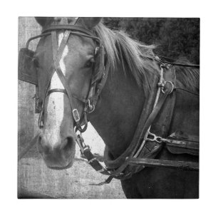 Azulejo Caballo con errores en el poste que engancha