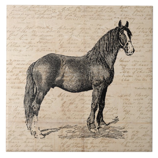 Azulejo Caballo con papel de guión (Frente)