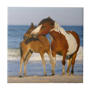 Azulejo Caballo de playa Sunset