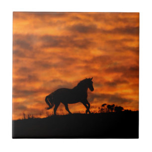 Azulejo Caballo en marcha al atardecer