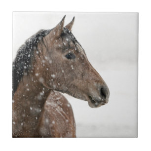 Azulejo Caballo en nieve