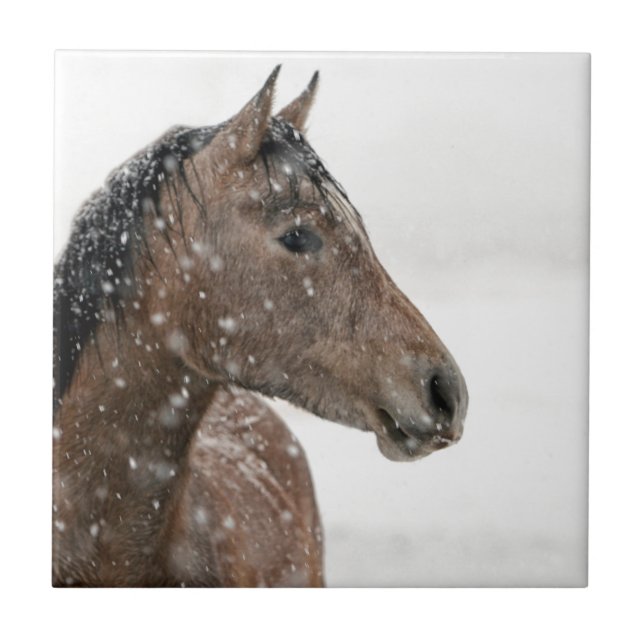 Azulejo Caballo en nieve (Frente)