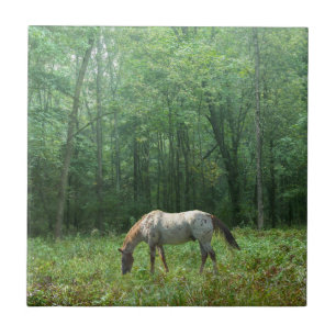 Azulejo Caballo en prado