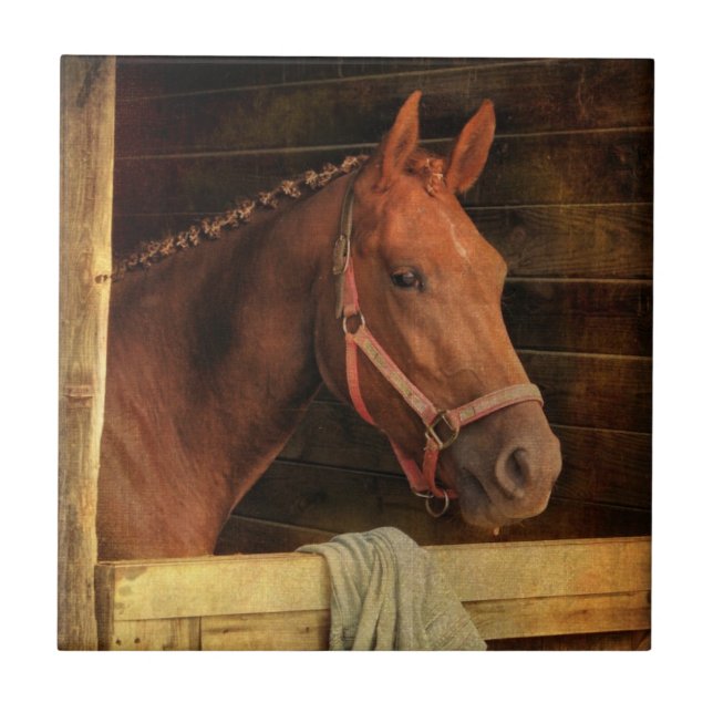 Azulejo Caballo excelente (Frente)