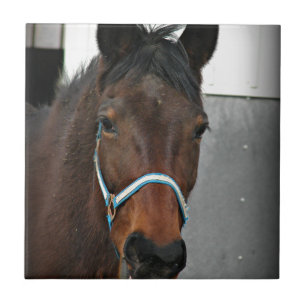 Azulejo caballo feliz
