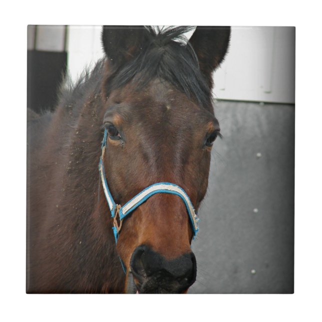Azulejo caballo feliz (Frente)