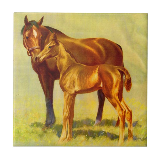 Azulejo caballo grande pequeño caballo (Frente)
