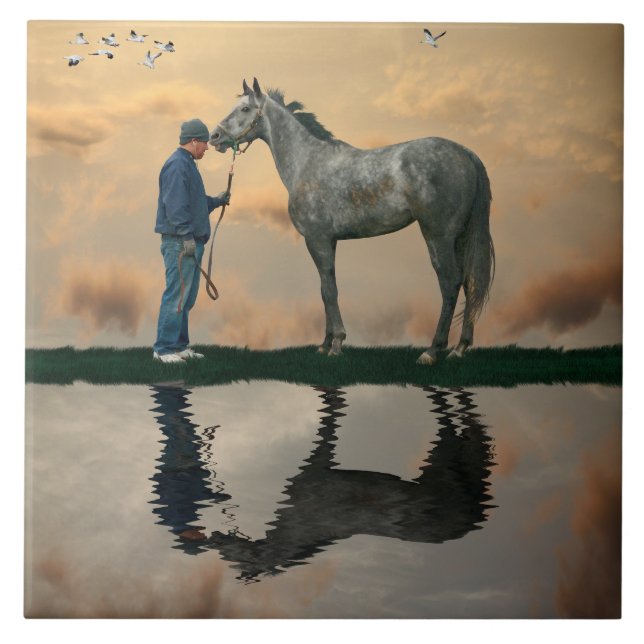 Azulejo Caballo Gris Y Tejidos Cerámicos De Groom OTTB (Frente)