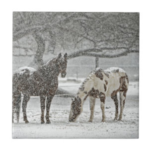 Azulejo caballo invierno nieve granja rancho animales neva