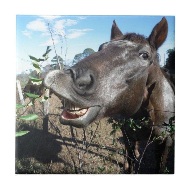 Azulejo Caballo marrón de cara divertida (Frente)