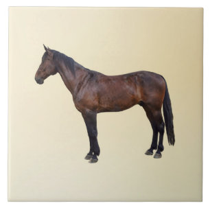 Azulejo Caballo Morgan de Perfil