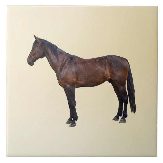 Azulejo Caballo Morgan de Perfil (Frente)
