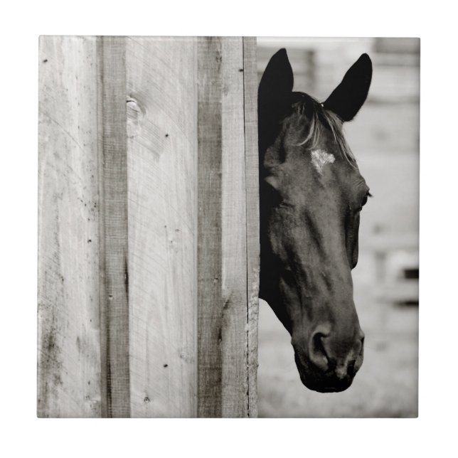 Azulejo Caballo negro curioso (Frente)