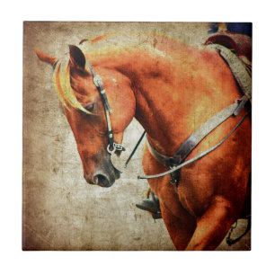 Azulejo Caballo Occidental
