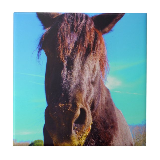 Azulejo Caballo púrpura con boca verde (Frente)