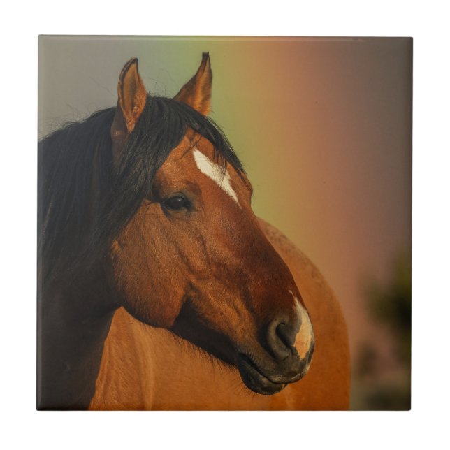 Azulejo Caballo salvaje, luz dorada y arcoíris (Frente)