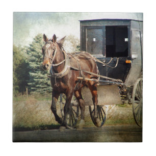 Azulejo Caballo y buggy en la Iowa rural