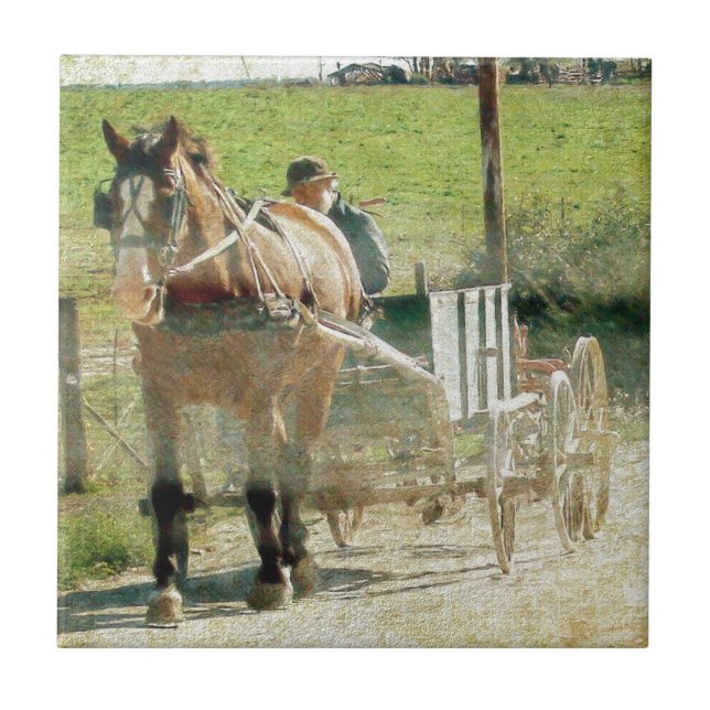 Azulejo Caballo y carreta Amish (Frente)