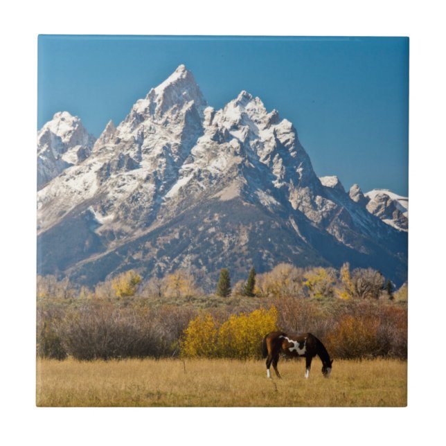 Azulejo Caballo y Grand Tetons, Rancho Moose Head (Frente)